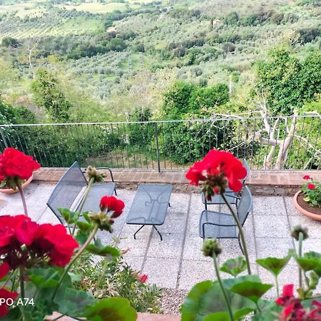 Tenuta Di Montemassi Fattoria エクステリア 写真