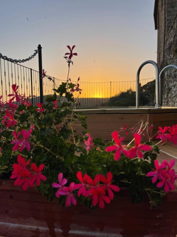 Tenuta Di Montemassi Fattoria エクステリア 写真